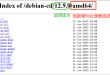PVE 虚拟机安装 Debian 无图形化界面服务器-网硕互联帮助中心