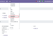如何通过Odoo 18创建与配置服务器操作-网硕互联帮助中心