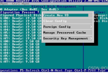 DELL服务器插入新磁盘、创建虚拟磁盘、挂载磁盘步骤-网硕互联帮助中心