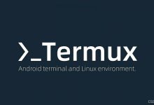 使用Termux将安卓手机变成随身AI服务器(page assist连接)-网硕互联帮助中心
