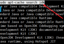 基于若依框架程序在服务器上的部署-简单部署-网硕互联帮助中心