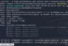 在 Debian 系统上安装和配置 Nginx 服务器-网硕互联帮助中心