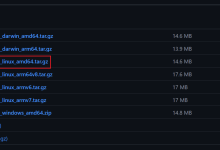 搭建简易的rtsp服务器-网硕互联帮助中心
