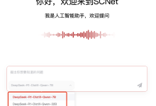 DeepSeek一直服务器繁忙，还有哪些平替的方法？(永久解决无法访问的问题)-网硕互联帮助中心