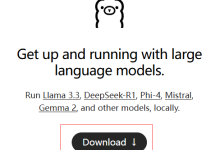 DeepSeek算力部署全攻略|本地+服务器双场景保姆级教程-网硕互联帮助中心