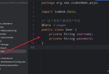 搭建信令服务器---SpringBoot简单使用WebRTC(后端篇)-网硕互联帮助中心