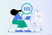 IIS 服务器日志和性能监控-网硕互联帮助中心