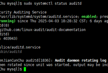 Linux-服务器添加审计日志功能-网硕互联帮助中心