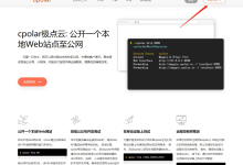 无需服务器内网穿透Windows下快速搭建个人WEB项目-网硕互联帮助中心