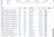 前后端项目网页报500或系统服务器内部错误排错方法流程-网硕互联帮助中心