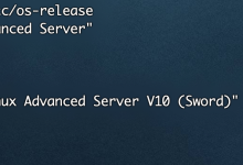 麒麟v10(ky10.x86_64)升级——openssl-3.2.2、openssh-9.8p1-网硕互联帮助中心