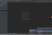 Python项目部署到服务器(pycharm简易版)-网硕互联帮助中心