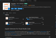VScode连接的服务器上使用jupyter显示请选择内核源-网硕互联帮助中心