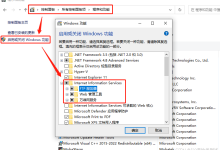 Windows 上搭建 HTTP 服务器-网硕互联帮助中心