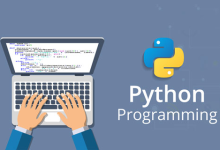 Python uvicorn库：一款高性能的ASGI服务器-网硕互联帮助中心