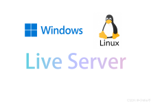 NodeJS | 搭建本地/公网服务器 live-server 的使用与安装-网硕互联帮助中心