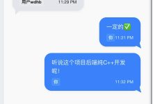 在Windows子系统WSL(Linux)中用C++搭建简单聊天服务器-网硕互联帮助中心
