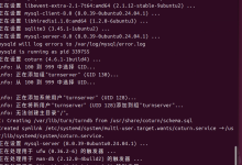 【Ubuntu24.04搭建turn服务器】-网硕互联帮助中心