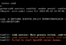 银河麒麟服务器sshd启动失败，报错(code=exited, status=255/EXCEPTION)-网硕互联帮助中心