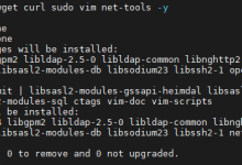 VPS服务器重装Linux系统&优化并安装中文版portainer管理docker-网硕互联帮助中心