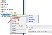 SQLServer定时备份到其它服务器上-网硕互联帮助中心