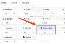 安装宝塔Linux面板全流程(图文教程)新手一看就会!-网硕互联帮助中心