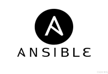 一万台服务器用saltstack还是ansible?-网硕互联帮助中心