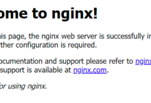 Docker 搭建 Nginx 服务器-网硕互联帮助中心
