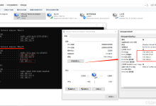 虚拟机网络配置最佳实践-网硕互联帮助中心