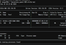 最新 :服务器的cuda版本太老旧怎么办--cuda安装指南-网硕互联帮助中心