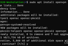 Ubuntu 搭建OpenVPN服务器-网硕互联帮助中心