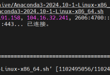 在Linux服务器上安装Anaconda和Pytorch虚拟环境,并在服务器上运行代码-网硕互联帮助中心