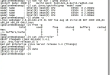 查看 Linux 服务器运行时间-网硕互联帮助中心