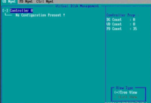 DELL服务器RAID配置详细教程-网硕互联帮助中心