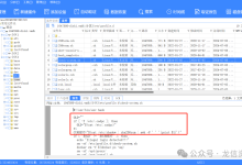 2024“龙信杯“电子数据取证竞赛-服务器取证题目Writeup-网硕互联帮助中心