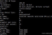 Ubuntu服务器系统Docker部署Ollama+AnythingLLM实现DeepSeek本地部署-网硕互联帮助中心
