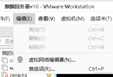 Kylin |银河麒麟高级服务器操作系统V10 安装 |图解版 | 带下载链接-网硕互联帮助中心
