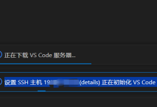 解决 正在下载VS Code 服务器 问题-网硕互联帮助中心