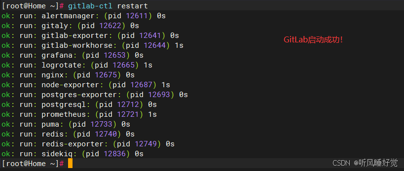 启动gitlab
