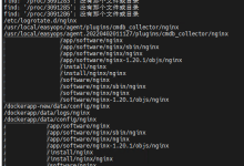 查看服务器nginx版本号-网硕互联帮助中心
