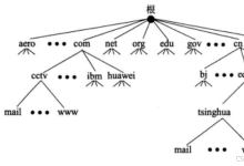 RHCE——DNS域名解析服务器-网硕互联帮助中心