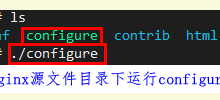 服务器上安装Nginx详细步骤-网硕互联帮助中心