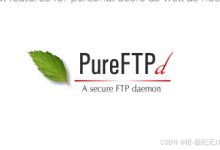 Pure-Ftpd 连接提示:服务器回应不可路由的地址。使用服务器地址代替。-网硕互联帮助中心