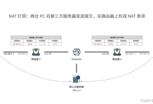 【Linux】【网络】UDP打洞-->不同子网下的客户端和服务器通信(未成功版)-网硕互联帮助中心