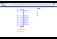 使用 Linux + Nginx 作为 Unity WebGL 的服务器-网硕互联帮助中心