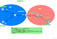 OSPF动态路由配置实验-网硕互联帮助中心