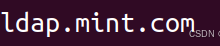 Ubuntu 22.04 - OpenLDAP环境与试用(服务器+LAM+客户端)-网硕互联帮助中心