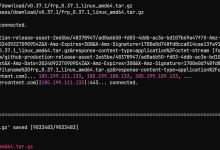 使用FRP服务实现内网服务器的远程登录-网硕互联帮助中心