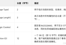 WebRTC服务器Coturn服务器中的通信协议-网硕互联帮助中心
