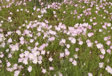 Spring Cloud之远程调用OpenFeign最佳实践-网硕互联帮助中心